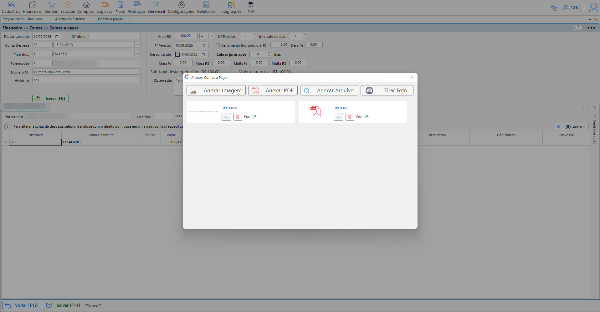 Anexos do Contas a Pagar: imagem, PDF, arquivo ou foto